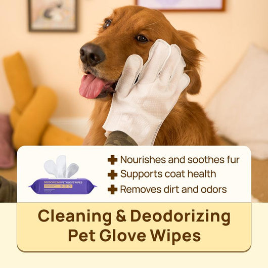 Deodorizing Cat & Dog Grooming Glove Wipes